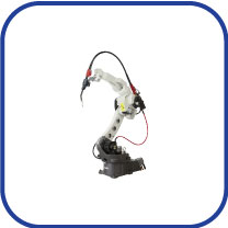 Industrial Robot
